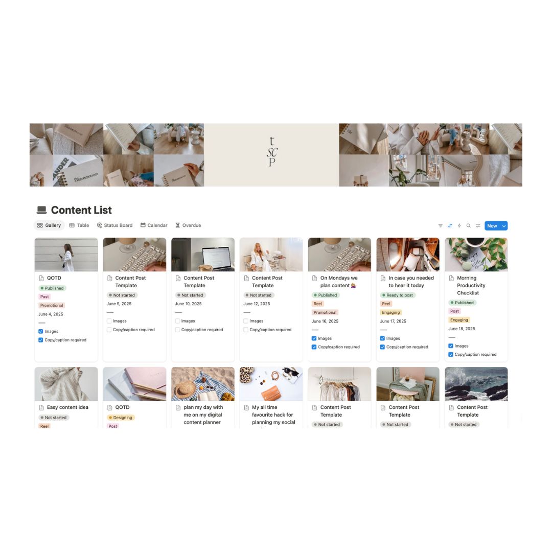 DIGITAL PLANNER: The Social Content Planner